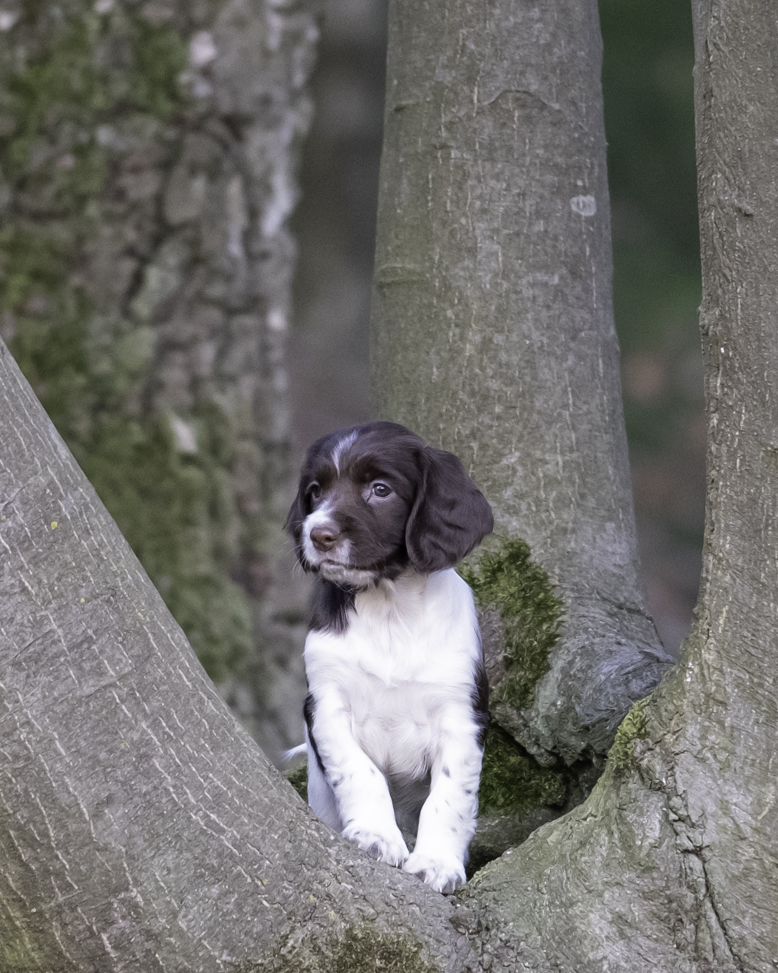 Claire off The Hunting Cottage (Claire)